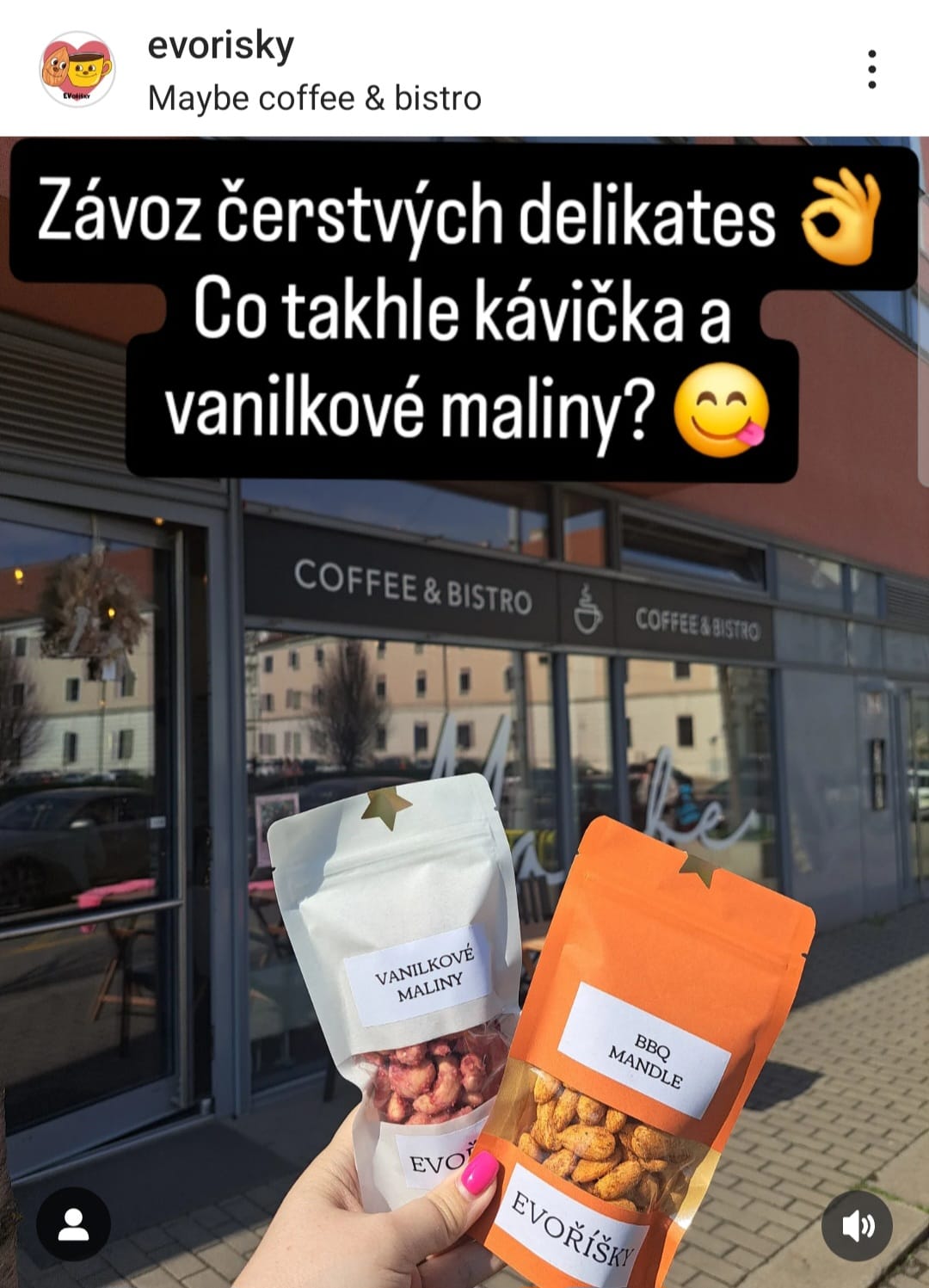Ochodní partenr EVoříšky